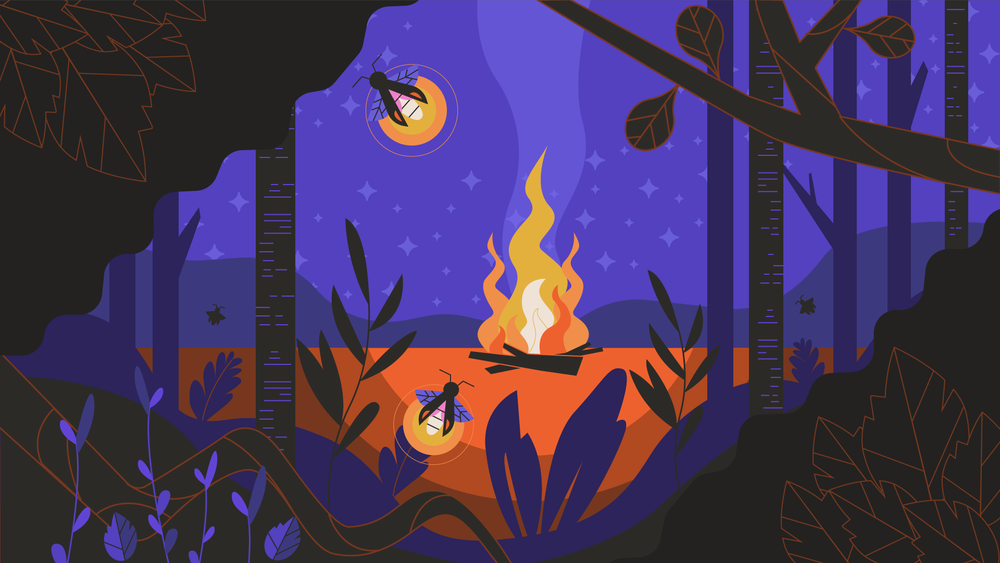 Motion Design Upgrade运动设计升级MG课程