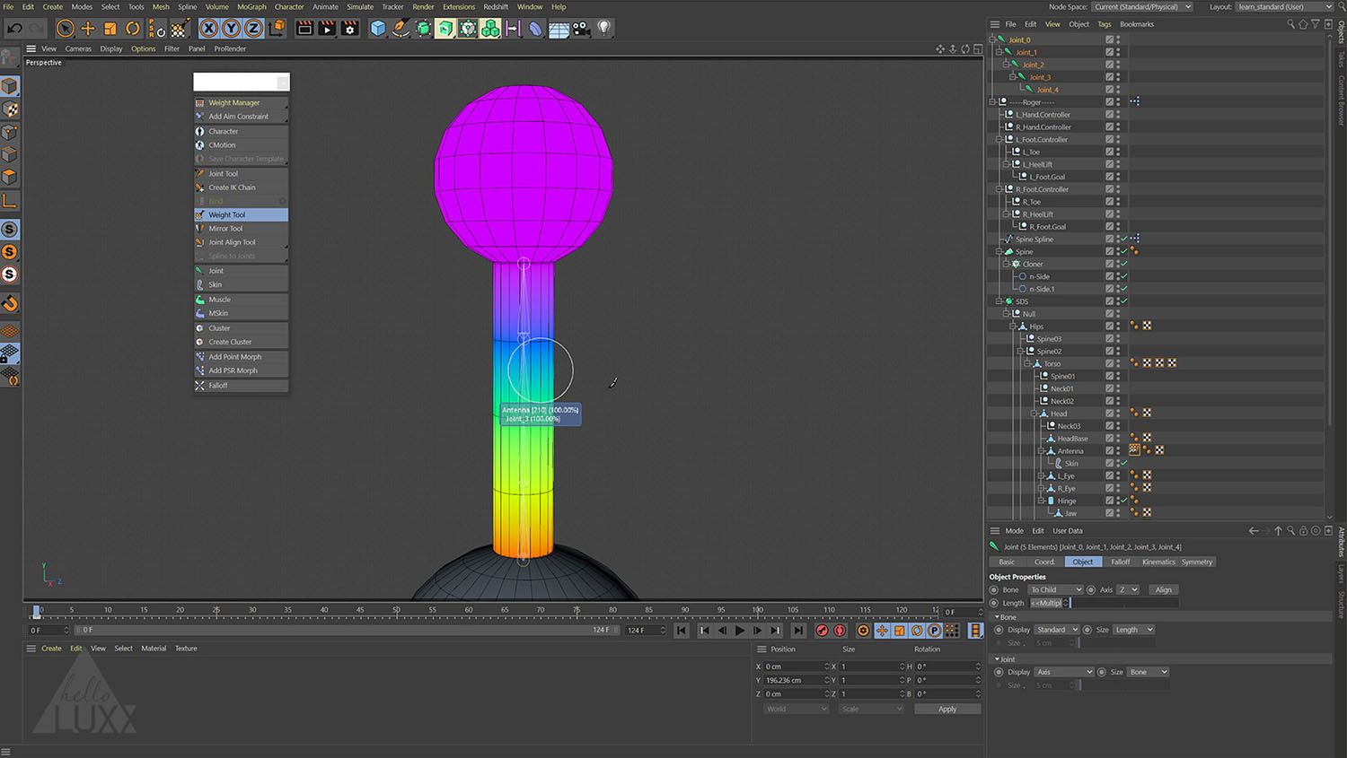 c4d角色绑定教程learn. Intro to Character Rigging in C4D