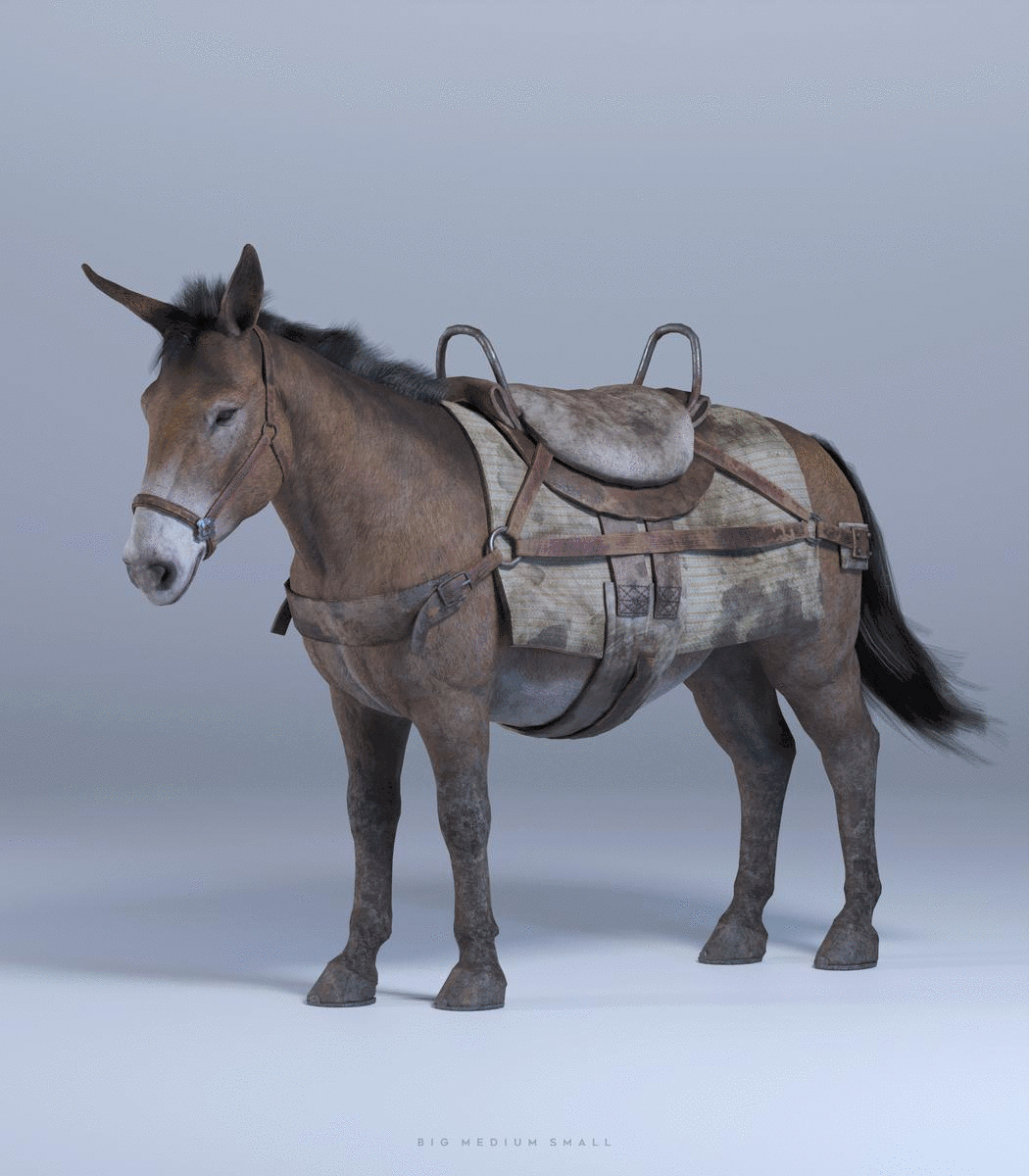 Lost City Collection