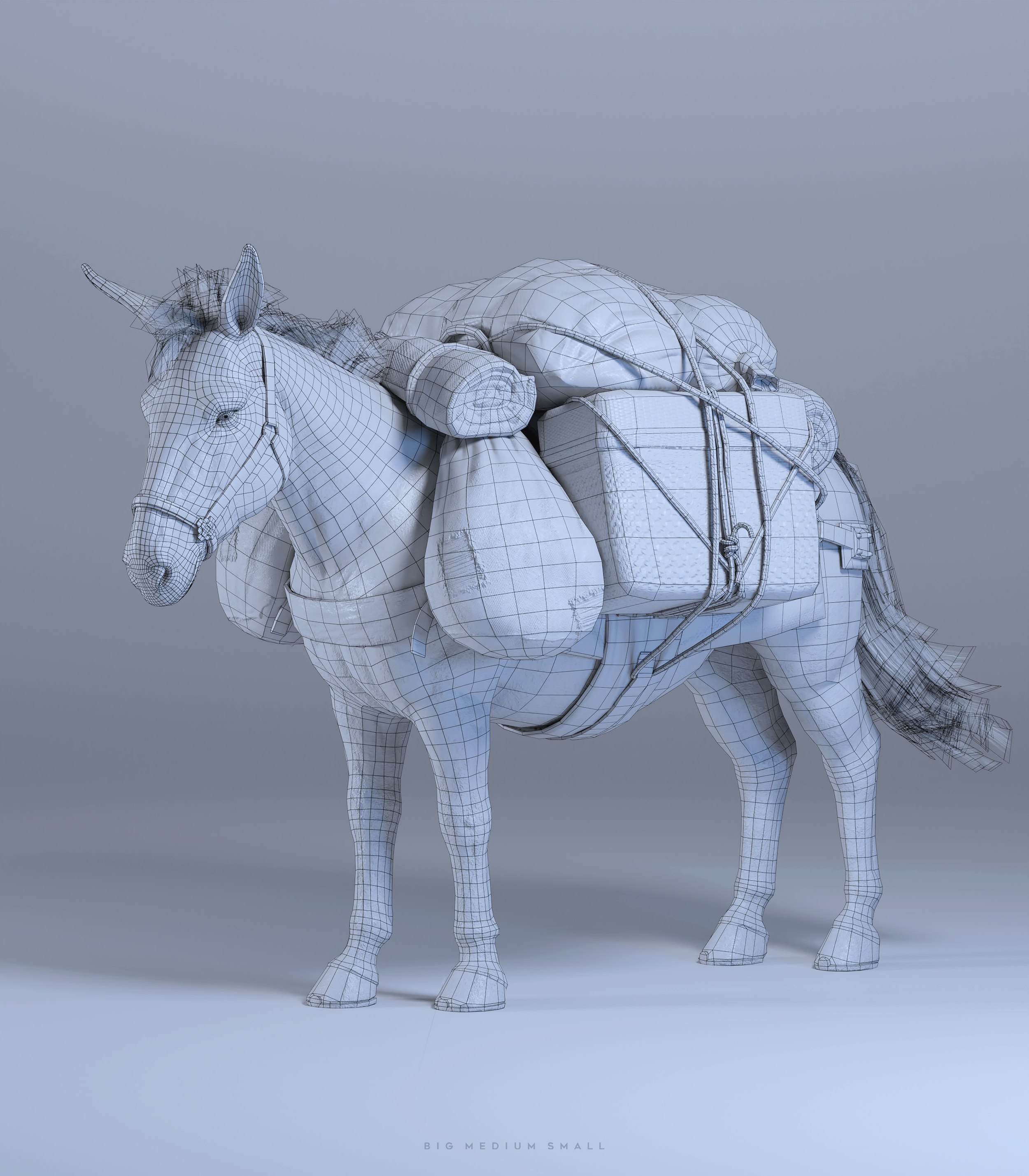 Lost City Collection