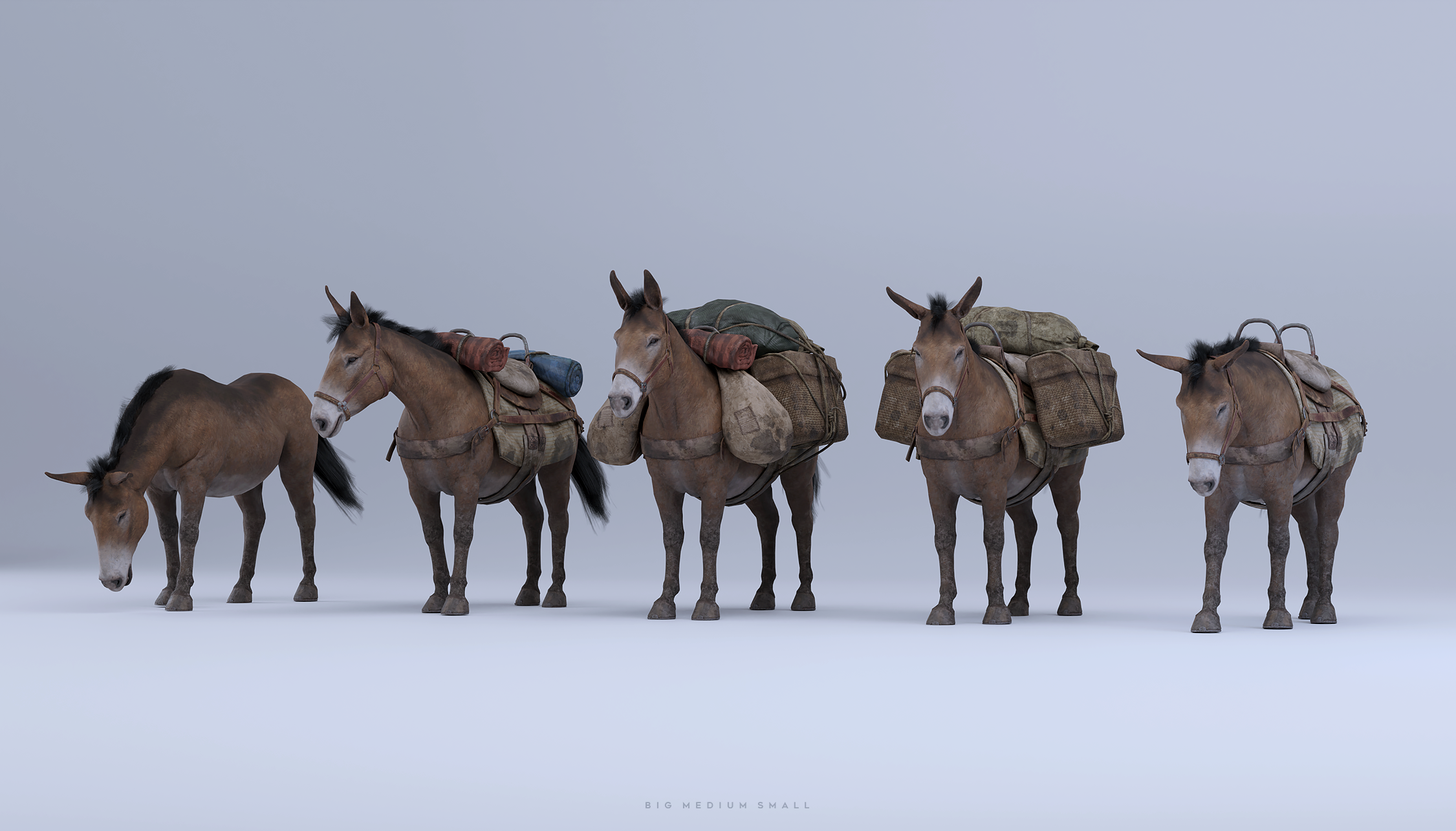 Lost City Collection