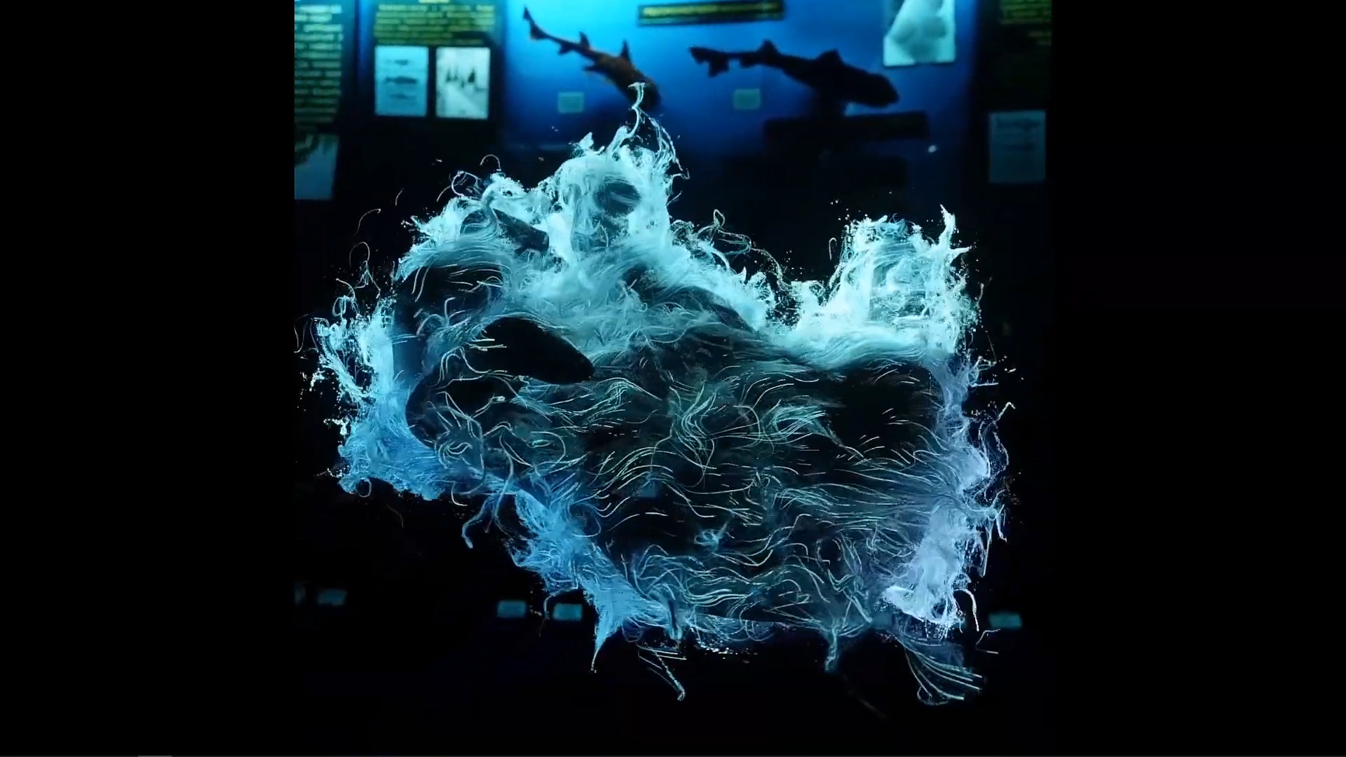 C4d综合案例课程