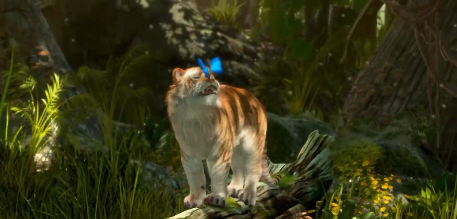 【众筹团购】老虎与蝴蝶-写实动物动画教程