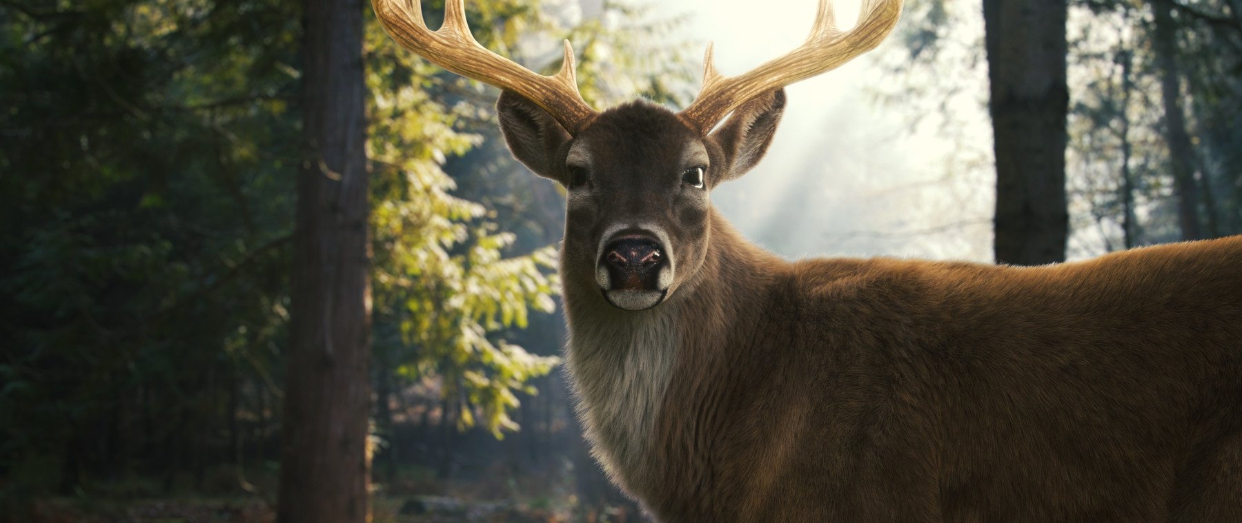 鹿 3D 模型（含毛发、绑定、动画）<span class="mi-jiaobiao-2" style="background-color: #ffa200;">VIP免费</span>