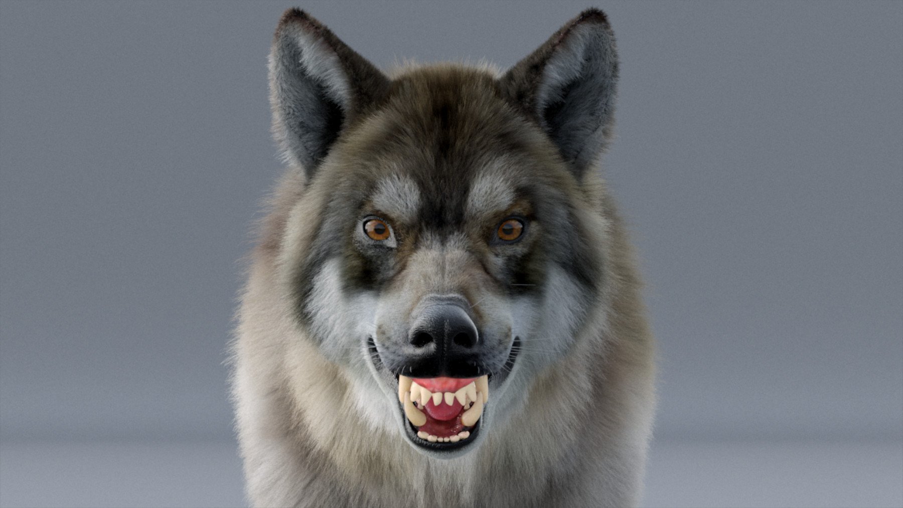 狼 3D 模型（含毛发、绑定、动画）<span class="mi-jiaobiao-2" style="background-color: #ff9500;">VIP免费</span>