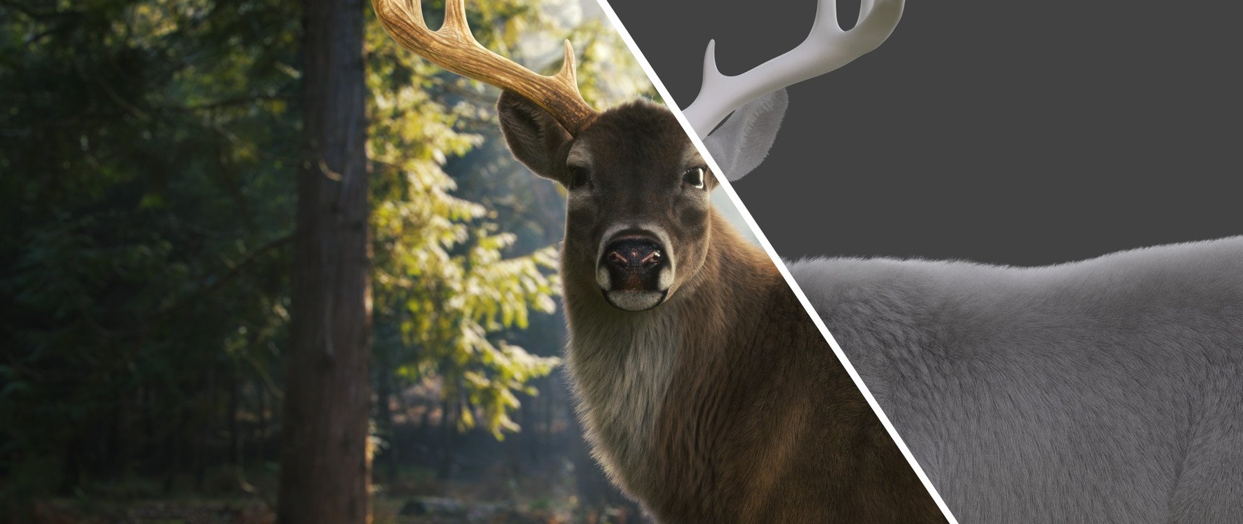 鹿 3D 模型（含毛发、绑定、动画）